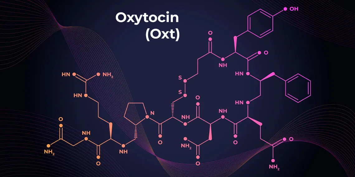 Meta-analysis confirms MDMA triggers sustained oxytocin release
