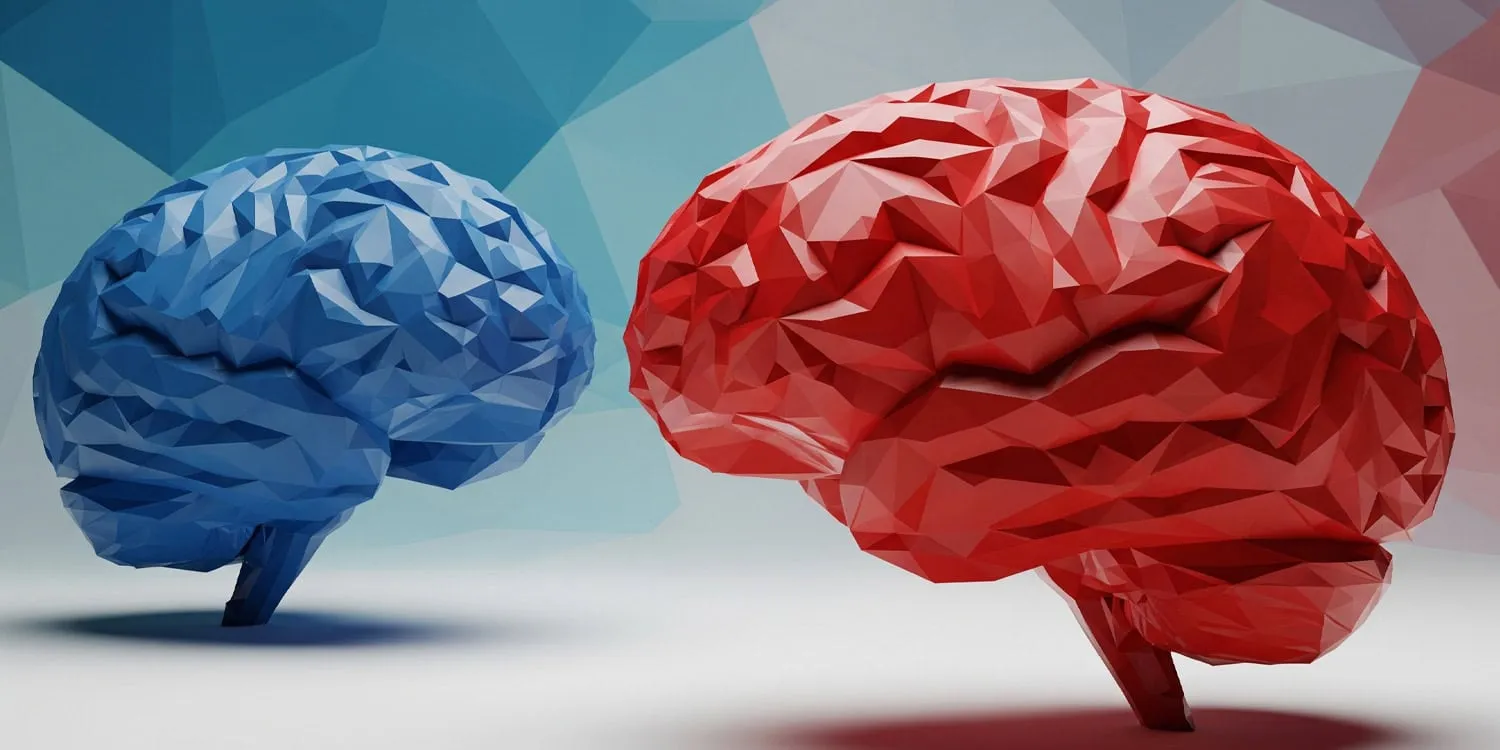 Political disagreements are reflected in different brain patterns